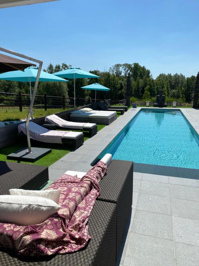 B&B La Douceur De La Miclette Ellezelles Екстериор снимка