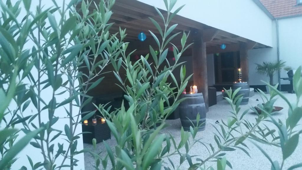 B&B La Douceur De La Miclette Ellezelles Екстериор снимка