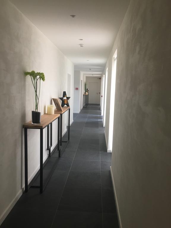 B&B La Douceur De La Miclette Ellezelles Екстериор снимка