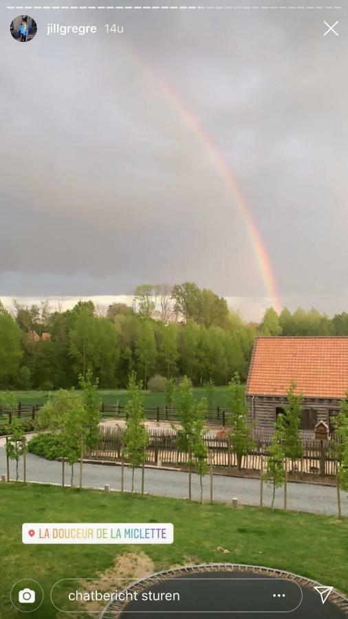 B&B La Douceur De La Miclette Ellezelles Екстериор снимка